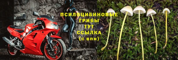 круглые Майский