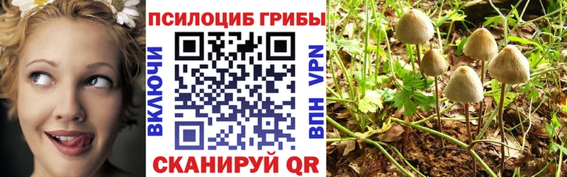 Галлюциногенные грибы Cubensis  где купить наркотик  Южа 